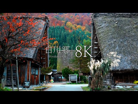 [8K] Autumn leaves of Shirakawa-go, one of Japan's three most unexplored regions