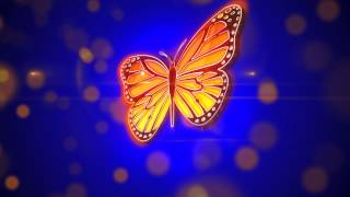 Vidalia Womens Center BUTTERFLY