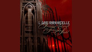 Beyond Your Borrowed Dreams (Overloaded) (G. Thomas &amp; Funker Vogt Remix)