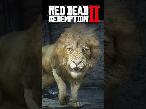 Hunting The Legendary Lion 🦁😈#rdr2 #reddeadredemption #gaming #reddeadredemtion2 #ps5