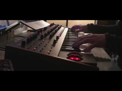 DSI OB-6 and Strymon Big Sky Ambient Improvisation