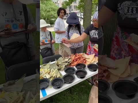 august 2025 green corn moon cornhusk weaving recap ~ launch of recloaking : recircling series