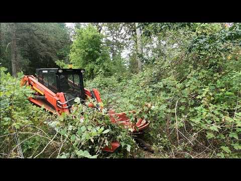 Manitou skid steer with brush cutter clearing blackberries and brush around a pond in Linn County, Oregon