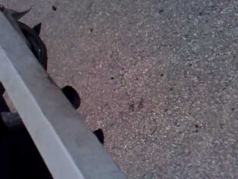 Lehrgang in Füchse schießen