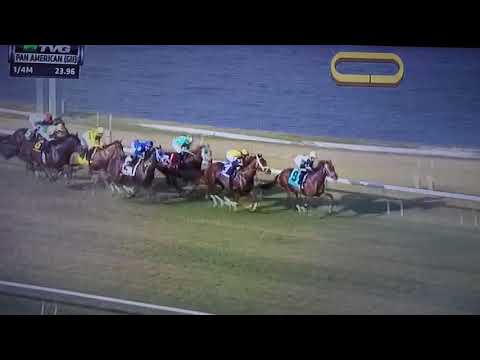 PAN AMERICAN (G 2) STAKES 3/31/18 - HI HAPPY !!