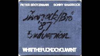 Peter Brötzmann & Sonny Sharrock - Whatthefuckdoyouwant 1