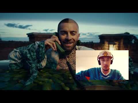 ReakcjaSztosa: Mata - Papuga ft. Quebonafide, Malik Montana / Syf czy wyczekiwany kawałek ?