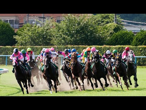 【競馬】第66回 有馬記念　みんなで見よう【有馬記念】