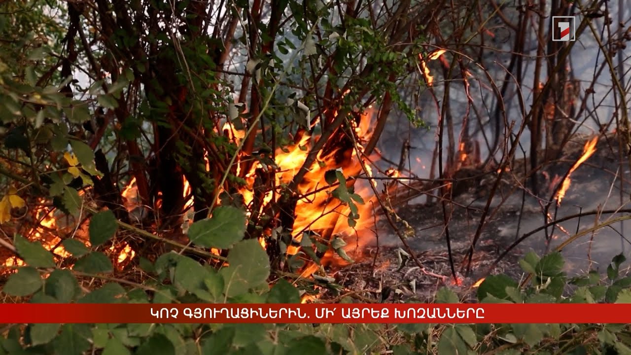 Կոչ գյուղացիներին. մի՛ այրեք խոզանները