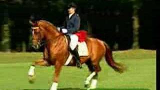 Dressage - In Flames Come Clarity