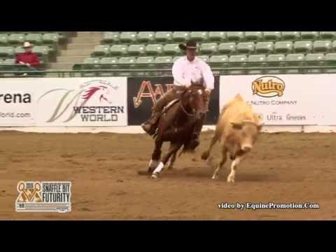Tha Big Smoke ridden by John C. Swales  - 2016 NRCHA Snaffle Bit Futurity (Cow Work - Open Prelims)