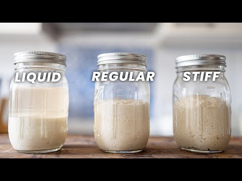 7 Sourdough Starter Tips (REGULAR vs LIQUID vs STIFF)
