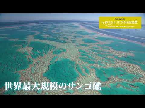 グレート バリア リーフ: 観光客は自然の驚異を保存する必要があります - 予約割引が含まれています