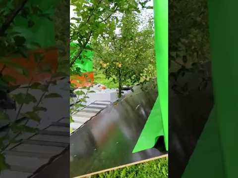 Fruit Harvester OE4 For Apples,Pears,Plums Etc || Made By Frumaco Germany || #shorts