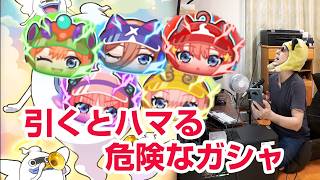 【ぷにぷに攻略】引くとハマる危険なガシャ 四葉(水着)超アップ 五等分の花嫁コラボ第三弾