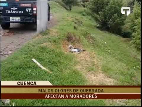 Malos olores de quebrada afectan a moradores