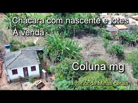 CHÁCARA COM NASCENTE E LOTES À VENDA , GOIABA , EM COLUNA MG , TERRA DE MINAS GERAIS (TERRENO)