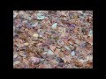 Archibald Joyce "Autumn Dream" (Songe d ...