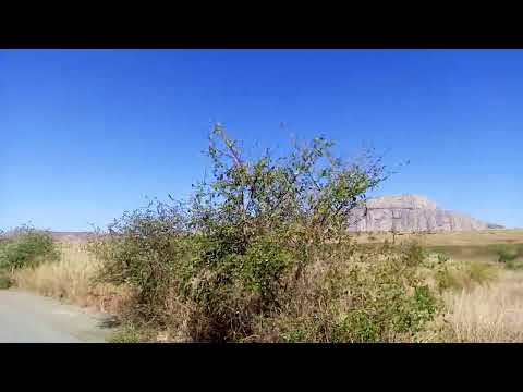 La route vers Toliara .