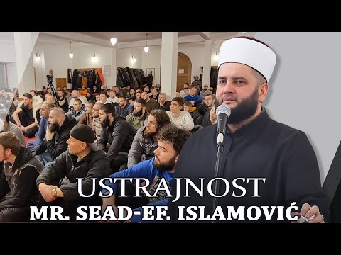 Ustrajnost ⁴ᵏ mr. Sead-ef. islamović #hadzimehovadzamija