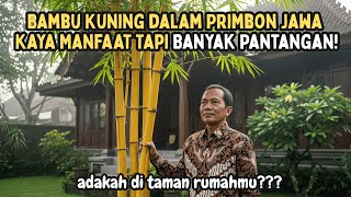 Download lagu Rahasia Bambu Kuning Menurut Primbon Jawa: Bukan Tanaman Biasa! mp3