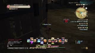 4Z9のFFXIV Live！しろくまあああああああああああああああ編【声はDiscord】