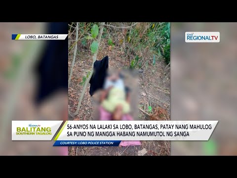 Balitang Southern Tagalog: Lalaki sa Lobo, Batangas, patay nang mahulog sa puno ng mangga