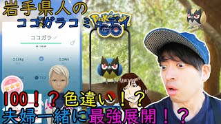 【ポケモンGO】過去一のすごいことになったぞ！！夫婦で挑むココガラコミュデイ