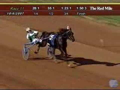 Bucki, Red Mile, 2007/10/6