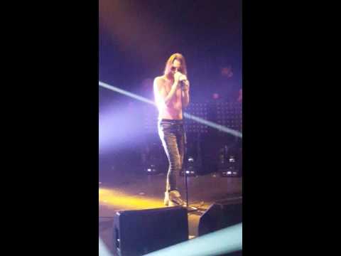 Sch - Fusil Live
