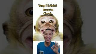 Download lagu Monyet dalam 5 bahasa daerah #Shorts #Toopansyahputra mp3