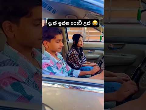 අපි මොනවද ආදරේ ගැන දන්නෙ 🥹#viral #funny #comedy #tiktok #trending #foryou #fyp #memes  #shorts