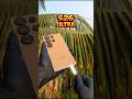 S26 ULTRA BUT CARDBOARD