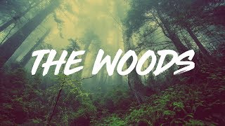 Hollow Coves | The Woods  (lyrics)