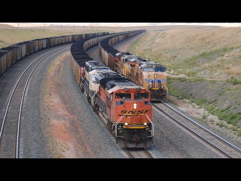BNSF and UP Coal Trains Battle the Powder River Basin! + Train Stalling on Logan Hill! 8/14/2024