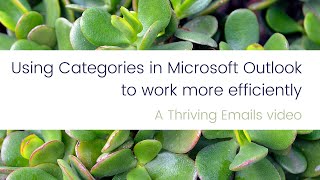 Thriving Emails - Using Categories in Microsoft Outlook to work more efficiently