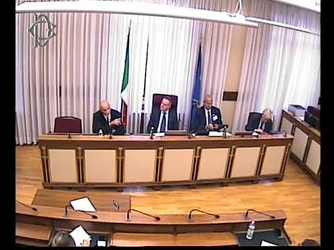Disastro Moby Prince, Audizione in Commissione alla Camera di Vincenzo Onorato