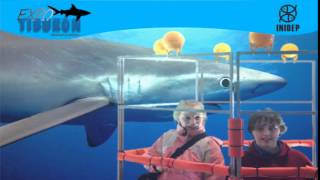 DIA 2 Expo Tiburon145