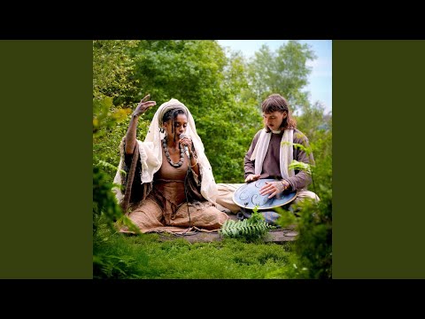 A Voice From The Treetops (Live)