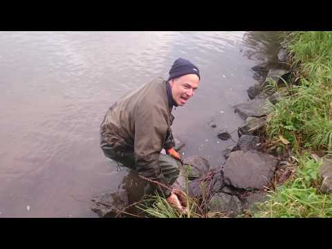 Waller Noodling 2017 - Wie hättet Ihr reagiert?