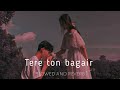 Tere Ton Begair Slow Reverb ParmishVerma Manjit Sahota Dhanvad Tera Me Zindgi Vich Aun Da
