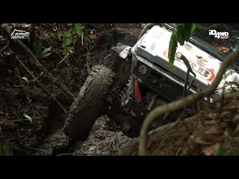 BORNEO SAFARI 2018 SS9 JUNGLE