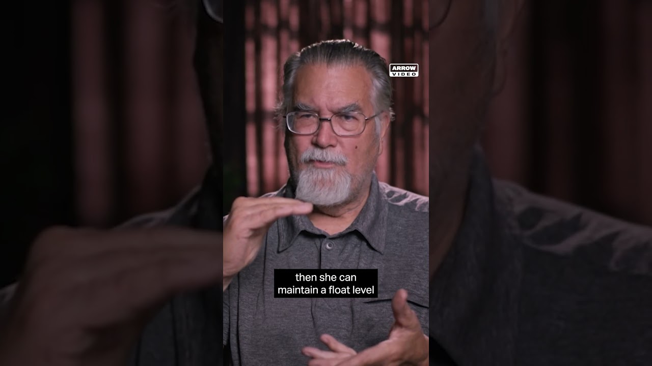 Miniature de la vidéo Trust your stunt people! du film Deadly Games