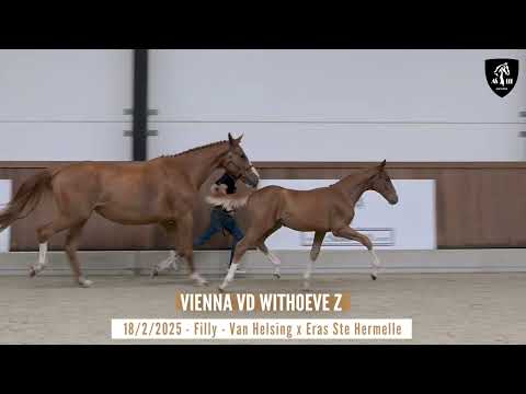 Vienna vd Withoeve