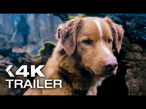 GOOD BOY Official Trailer 2 (2025)