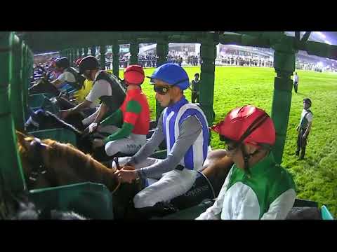 2022 DRC DUBAI  𝙎𝙝𝙚𝙚𝙢𝙖 𝘾𝙡𝙖𝙨𝙨𝙞𝙘