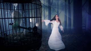 Stevie Nicks - "Secret Love" Official Music Video