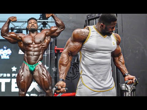 UPCOMING MONSTER - INSANE GENETICS - ANDREW JACKED