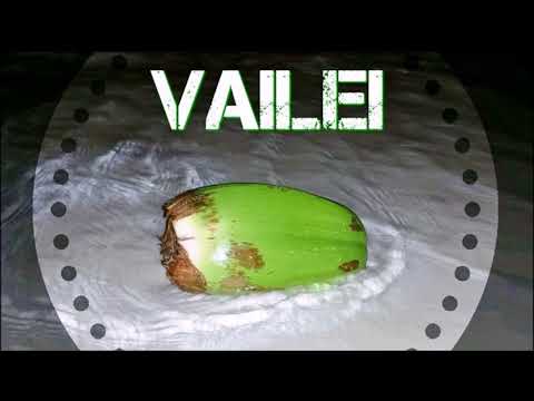 FERILA ASIATA - MASINA (YAHBOYLILO)