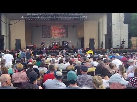 Thumbnail for 2016 Chicago Blues Festival  - Lil' Ed and The Blues Imperials